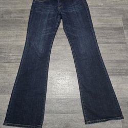 Size 6 Express Jeans STELLA Bootcut LOW RISE 