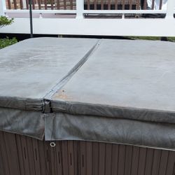 Jacuzzi J-345 Hot Tub