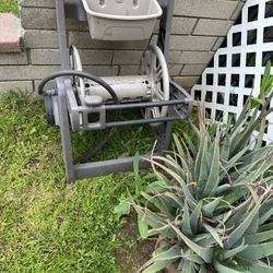 Garden Hose