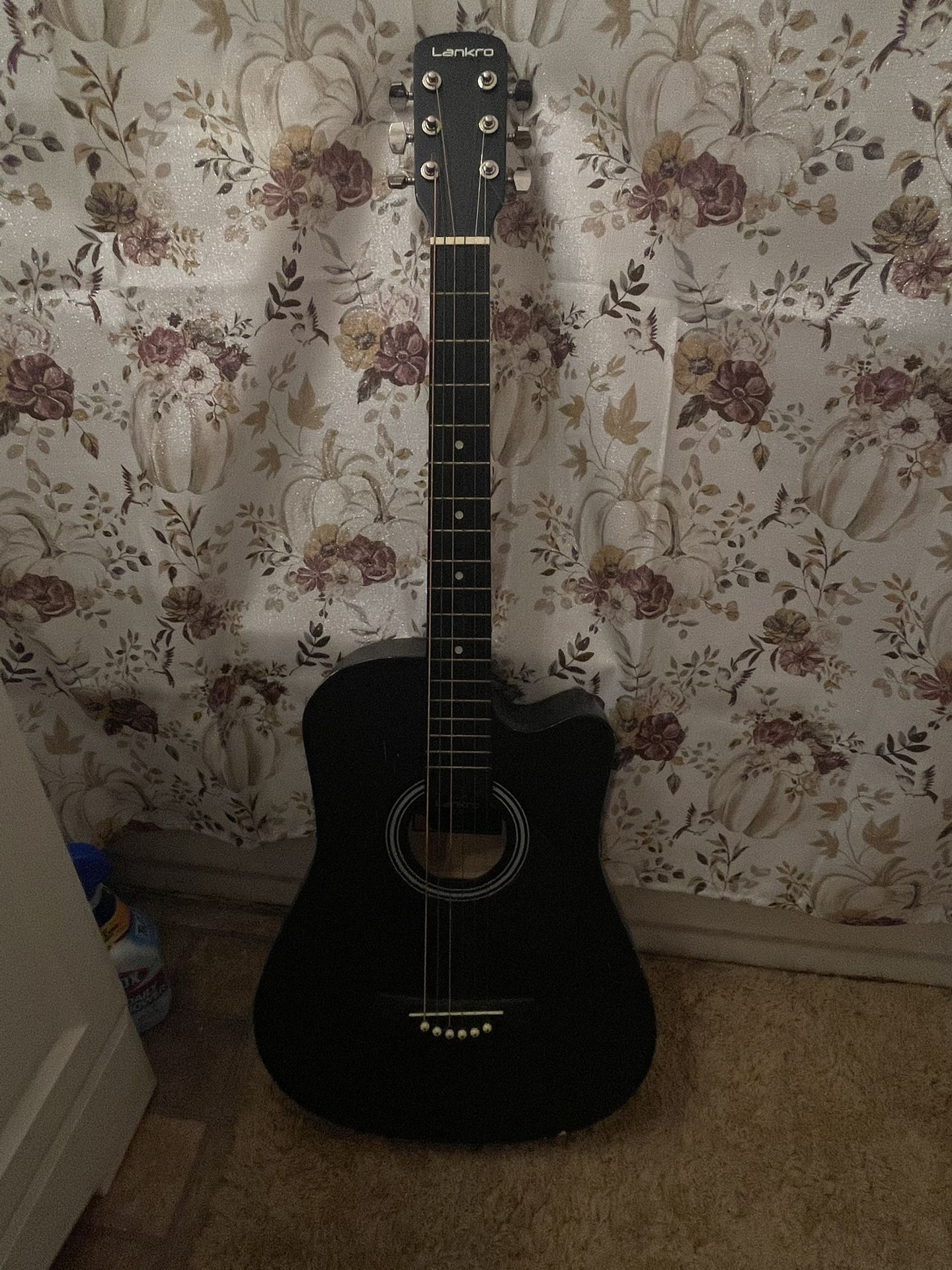 Lankro Acoustic Guitar