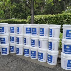 Paint & Primers Pintura 
