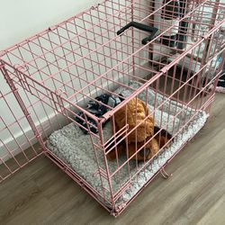 Pink Dog Crate 