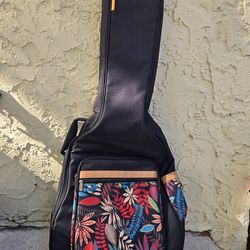 Guitar case