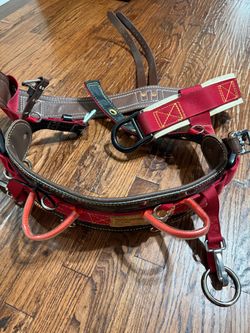 Harness