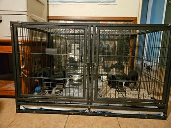 Dog / Puppy Crate
