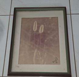 Vintage Signed Limited‑Edition Photograph, 11/15. Sepia‑toned foxtail grass art, framed. Frame measures 15" x19". Good vintage condition, some age spo