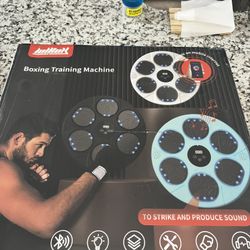 Lolbox Boxing Training Machine 