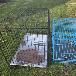Two dog Crate... One's for a large dog, and the blue one is for a small dog..