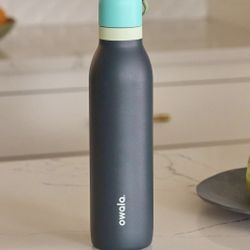 Owala FreeSip Twist Insulated Stainless Steel