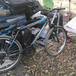 NICE SCHWINN ROADMASTER BIKE