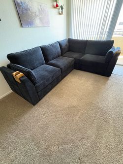 Lovesac Sactional Sofa