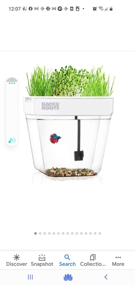 Back to Roots Fish Tank