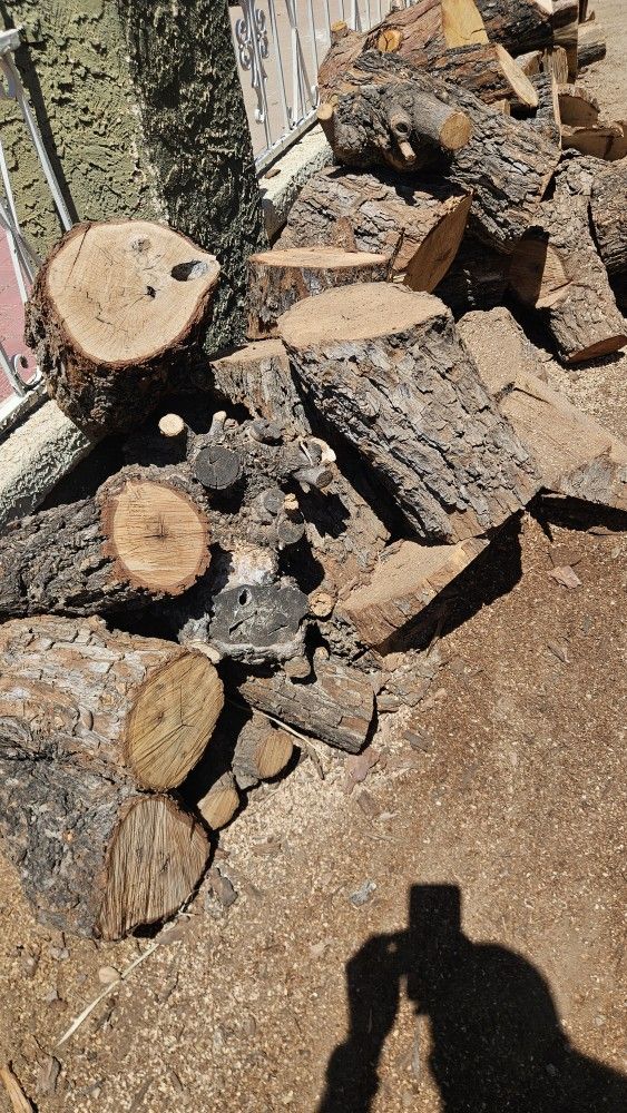 Pile Of Pecan Firewood
