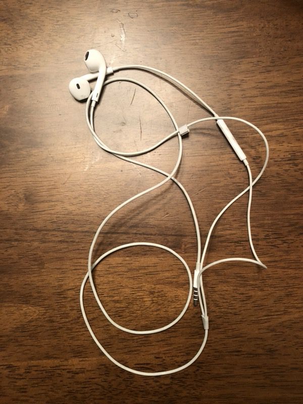 Apple Headphones with Mic