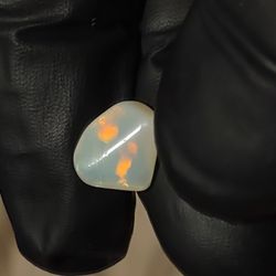 opal freeform 