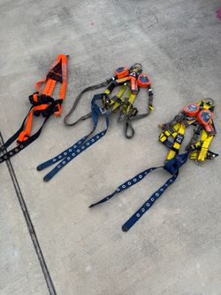 Safety Harness