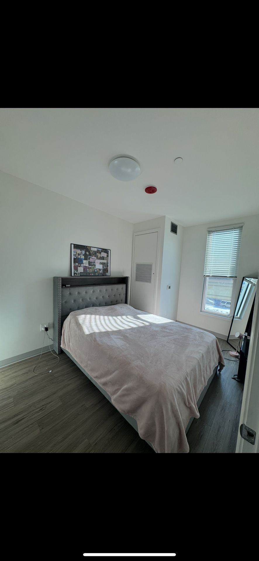 Queen Gray Velvet Bed Frame w/ LED Lights + USB - Barely Used