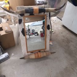 bull horns mirror 