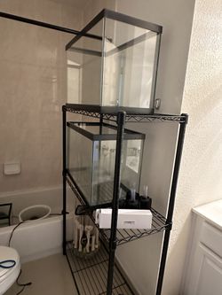 Fish Tank Aquarium Breeding Set Up