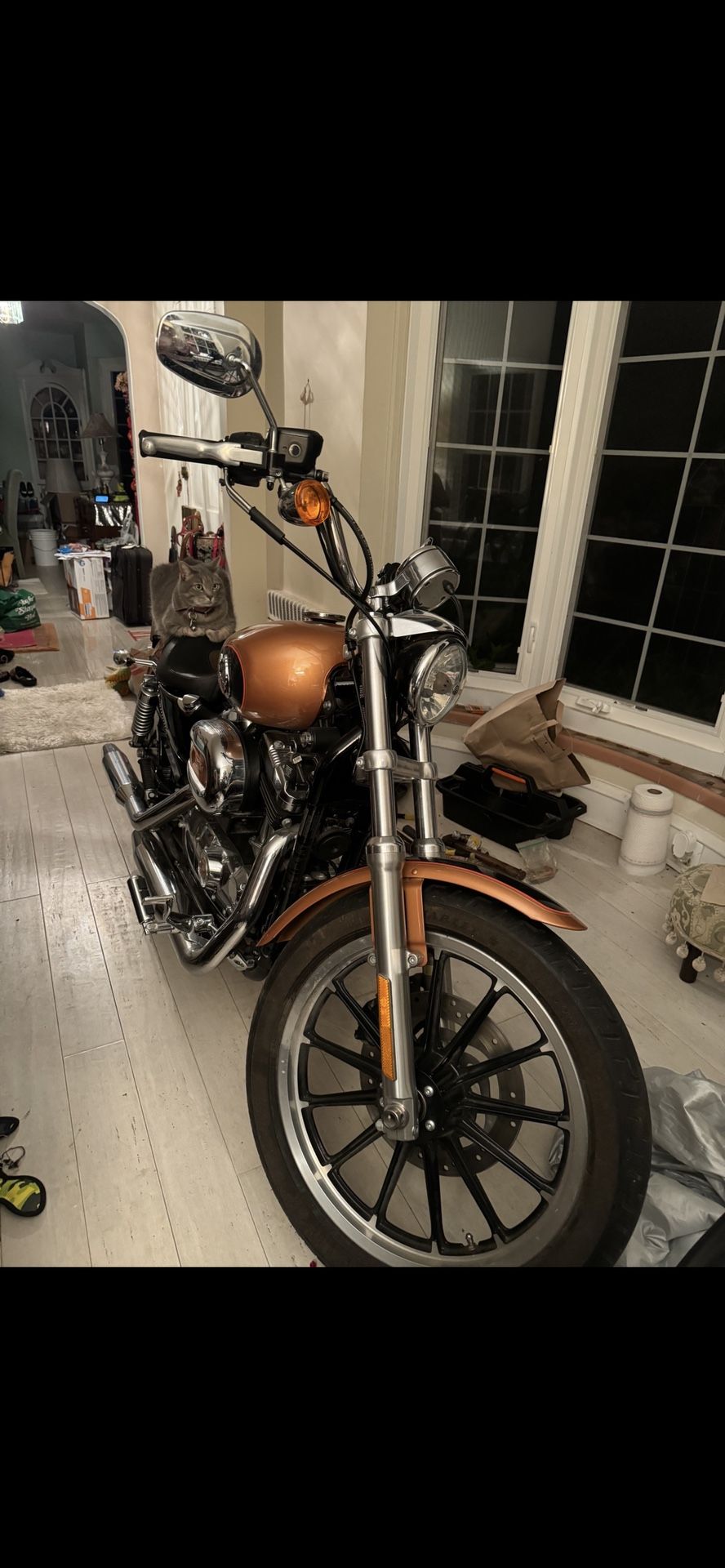 2009 Harley Davidson Sportster 