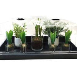 Extra Strength No Holes Propagation Seed Starter Tray with Tal, 5 pack, Black