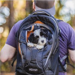 Kurgo G-Train Mochila Transportadora para Perros