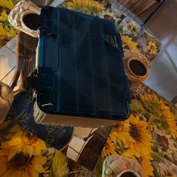 Arts And Crafts Storage Box Multiple Compartments
