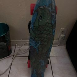 Skate Board For Kids 