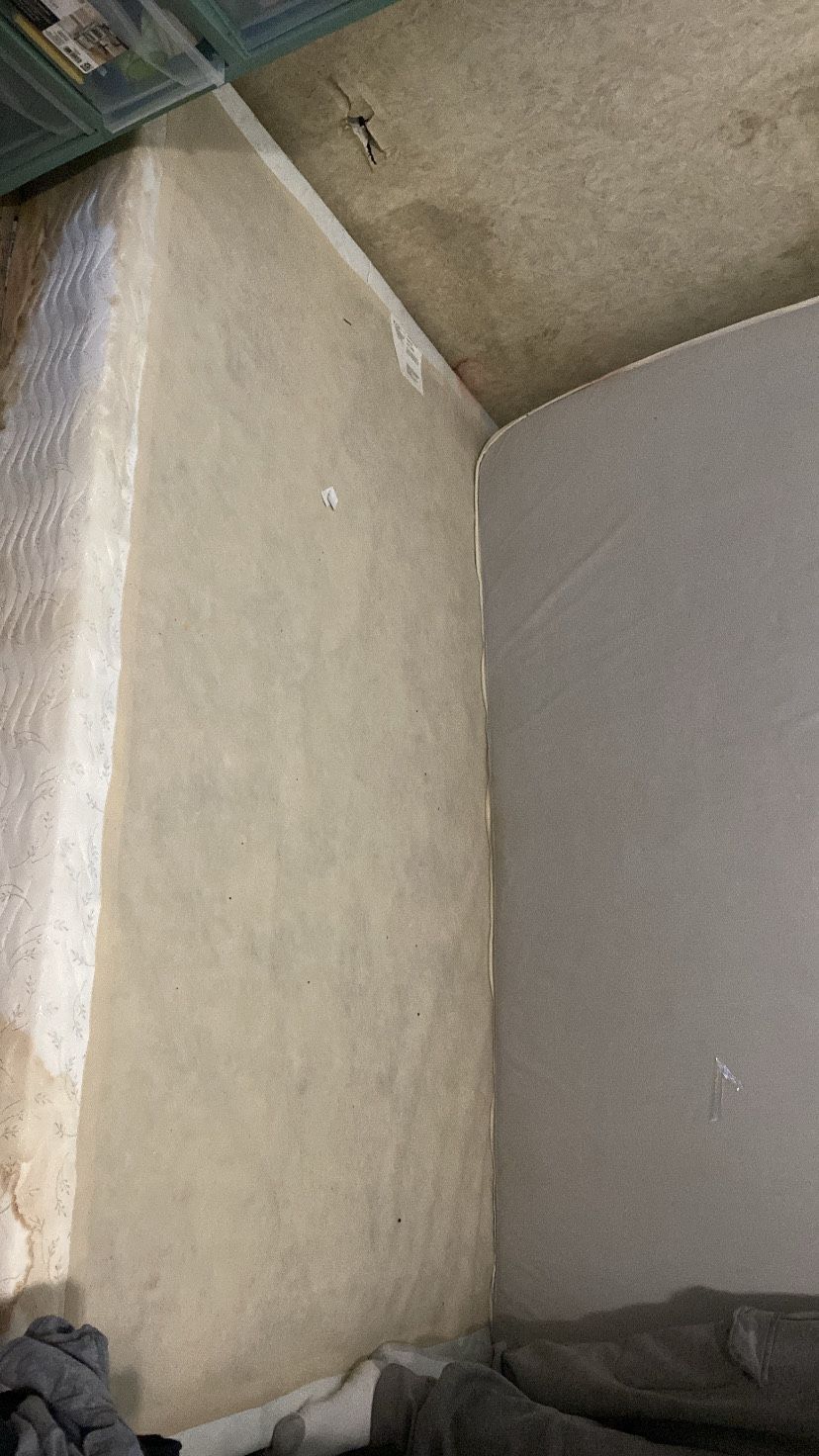 Double/queen Box Spring And Mattress