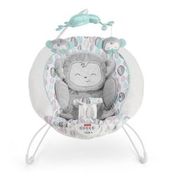 Fisher Price Deluxe Bouncer, My Little SnugaMonkey