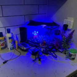 7 Gallon GLO FISH Aquarium Starter Kit W Air Pump And Filter And Accessories 