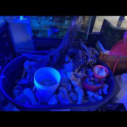 Freshwater Saltwater Aquarium Rocks Driftwood Decorations 