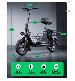 Electric Scooter