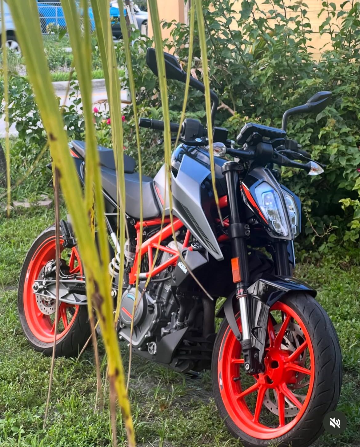 2021 Duke 390 KTM