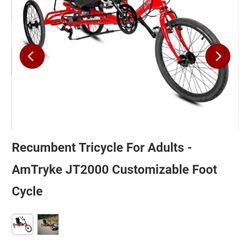 Trike Bike