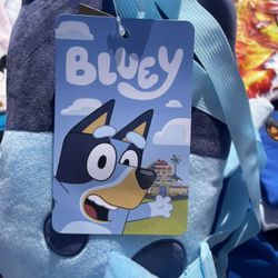 Bluey Bag