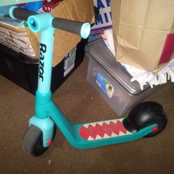 Razor Mini Scooter 