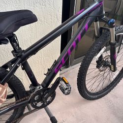 Bicycle Scott Montain 