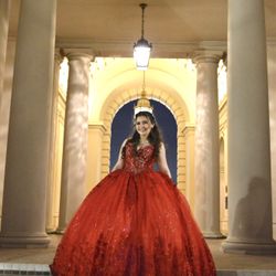 Quinceañera dress butterflies
