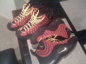 Nike Air Bakin