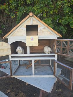 Merry Products Tudor Decorative Rabbit Hutch