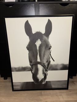 Horse Canvas