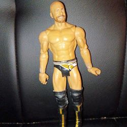 WWE action figure