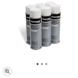 Coastwide Stainless steel Cleaner