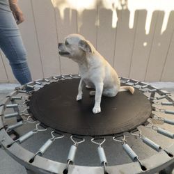 Mini Trampolín 