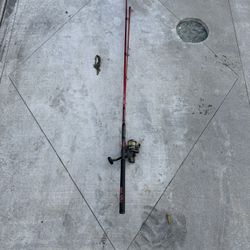 Ugly Stik Carbon Salmon Steelhead Fishing Rod Pole