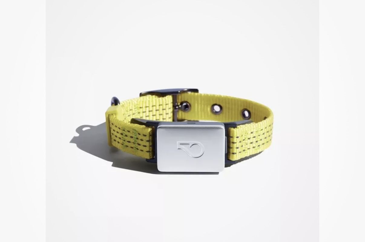 Whistle Switch Smart Collar Kit XS/Small