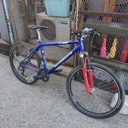 Motobecane Fly Team 17-in Mountain Bike