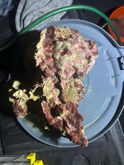 Reef aquarium rocks