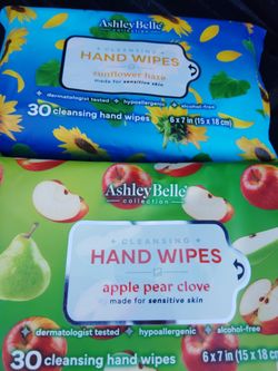 Hand wipes set